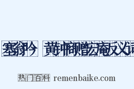 塞翁吟·黄钟商赠宏庵反义词是什么意思的图片